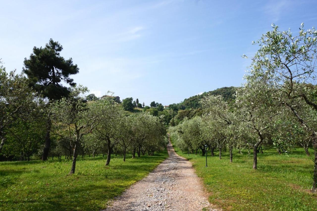 Agriturismo Le Vallilunghe Apartment Лука Екстериор снимка