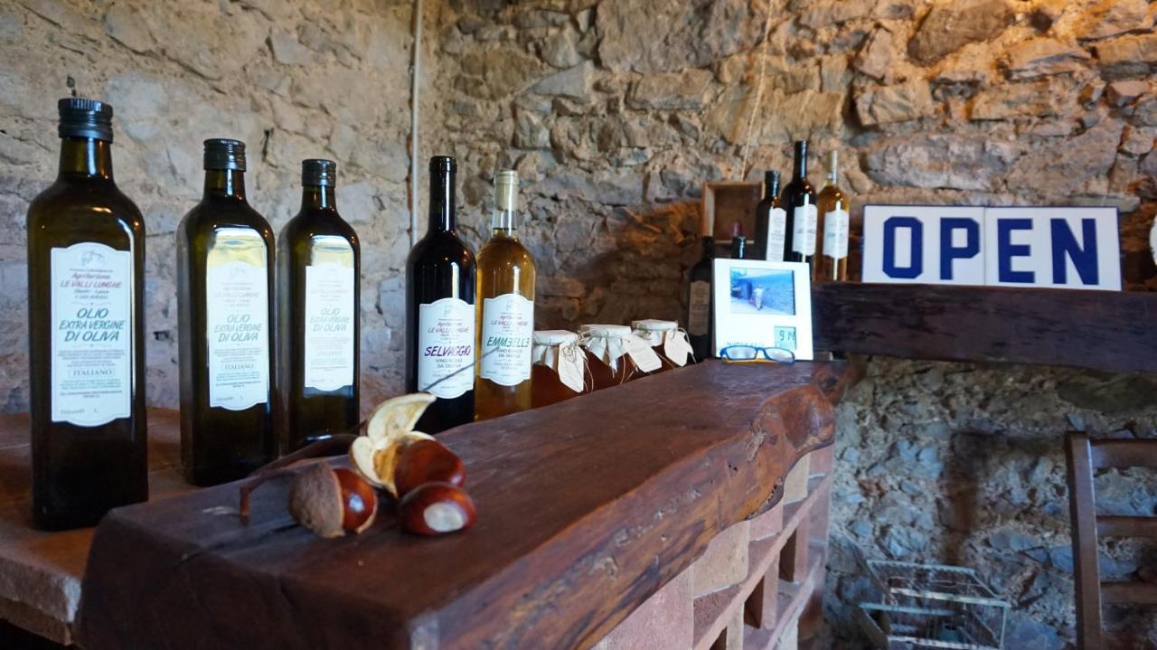 Agriturismo Le Vallilunghe Apartment Лука Екстериор снимка