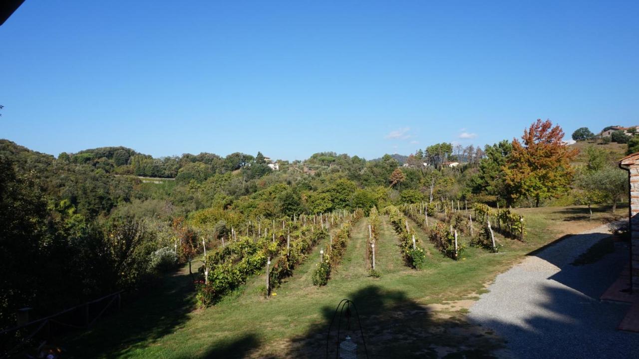 Agriturismo Le Vallilunghe Apartment Лука Екстериор снимка