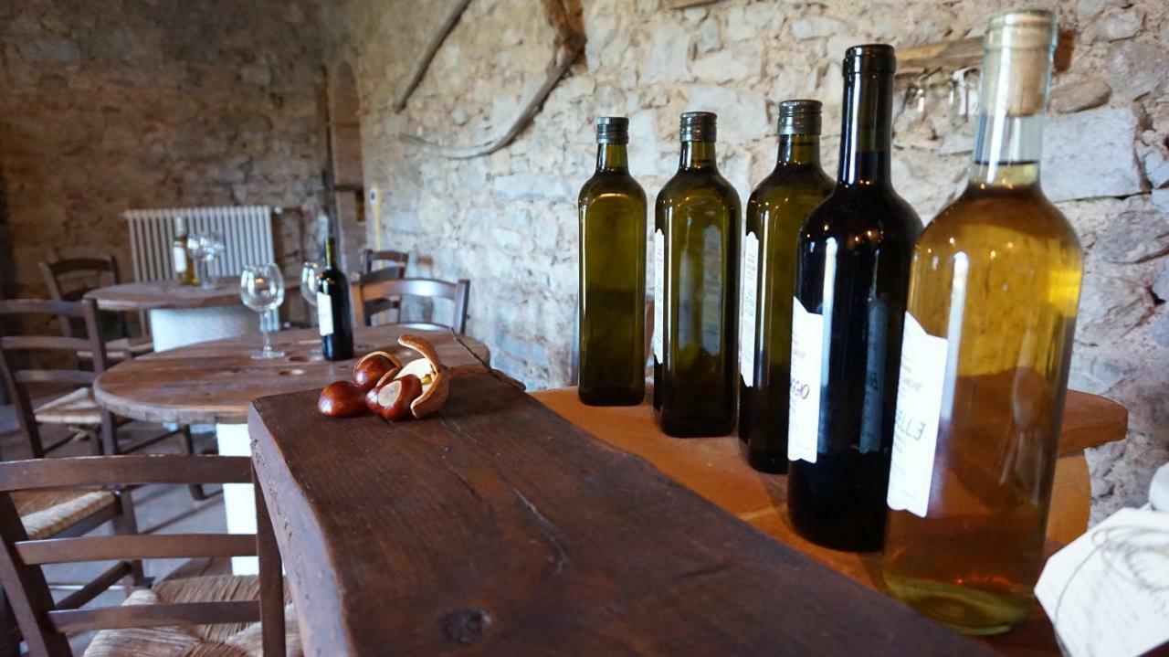 Agriturismo Le Vallilunghe Apartment Лука Екстериор снимка